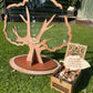 Tree shape wedding guest book